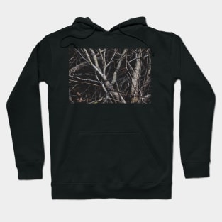 Sticks Hoodie